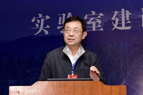 作报告