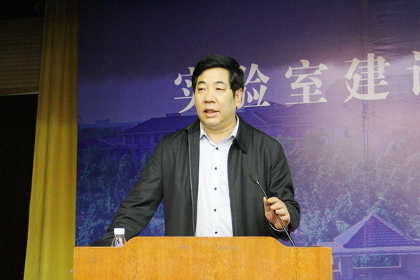 作报告