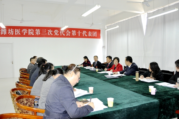 第十代表团