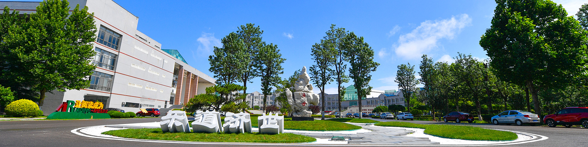 美加墨世界杯官网信息公开网